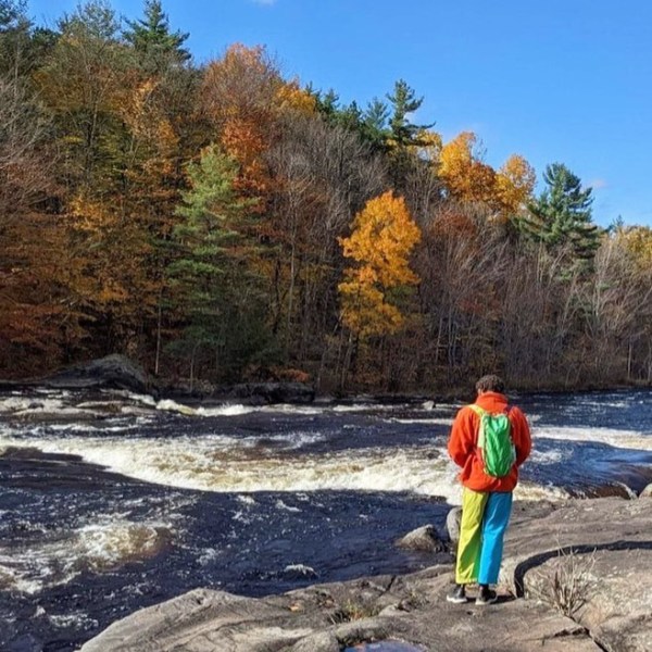 Fall Colours [Beyond&nbsp;Be-Leaf]
