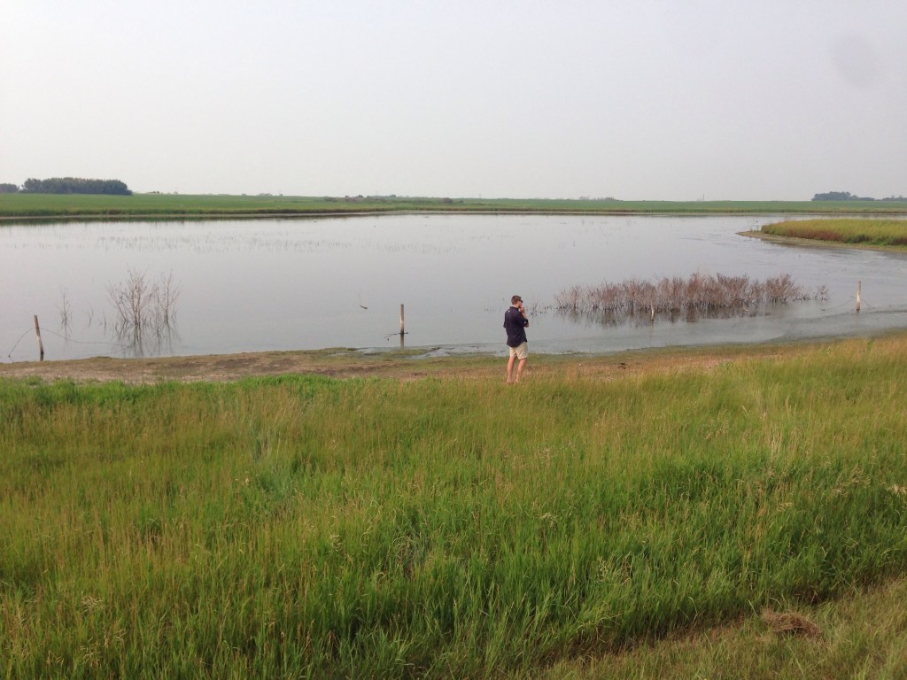 Killing Time After Killing A Tire [Praise&nbsp;Denny’s]