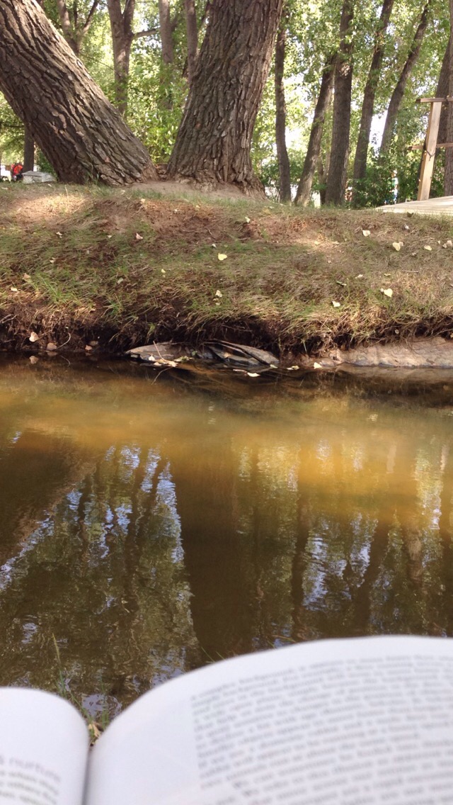 Ladies And Gentleman [Our Dogs Are&nbsp;Bigger]