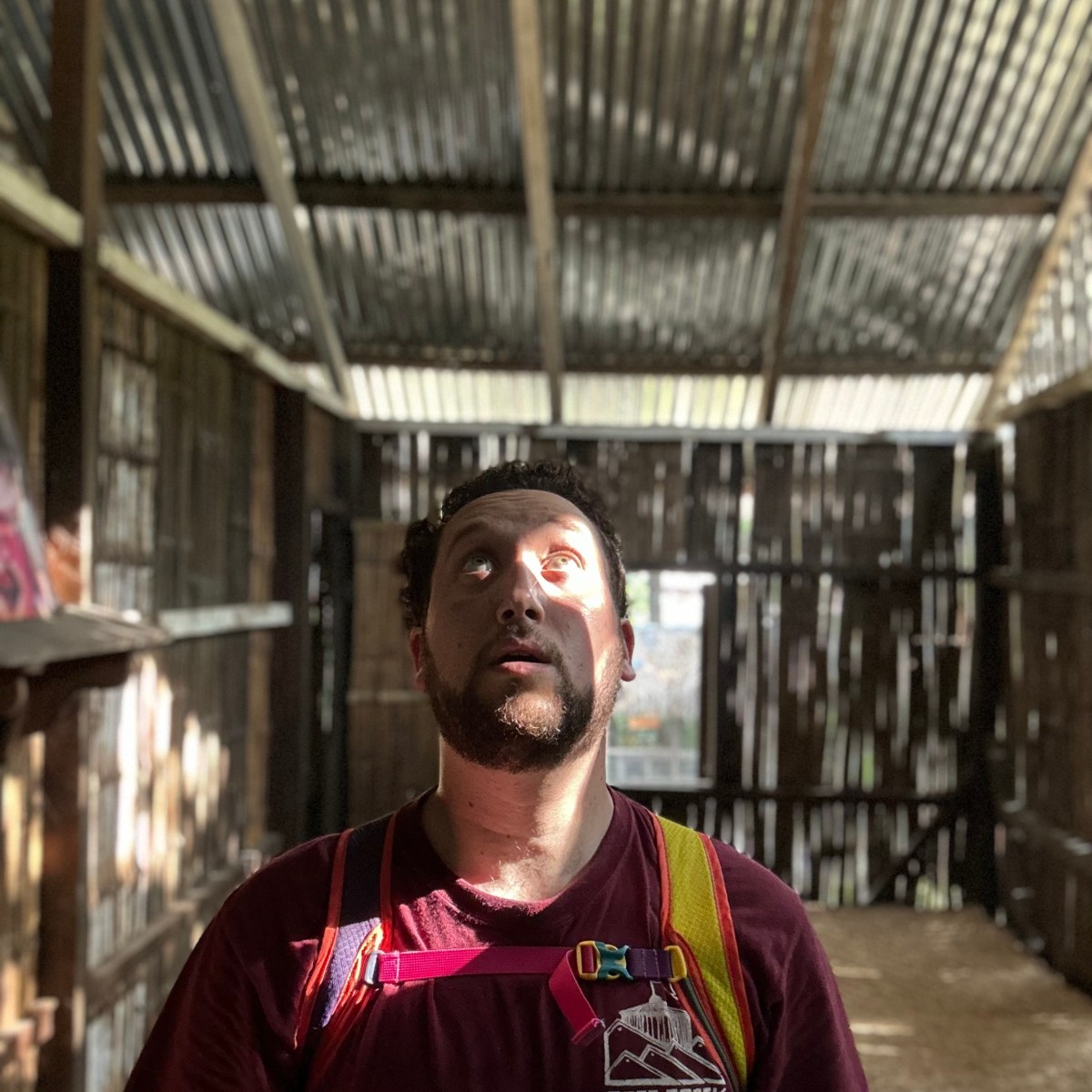 Logan Life Update [Here Today, Gone&nbsp;Tomorrow]